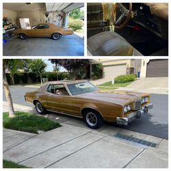 Gold Montego MX