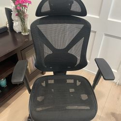 Mesh Ergonomic Office Chair