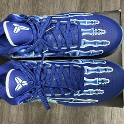 Kobe 5 Proto X-ray