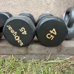 2-45 Lbs Dumbbell Weights 