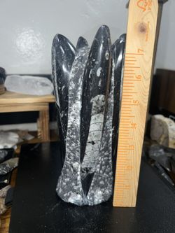 Orthoceras Fossil Statue 
