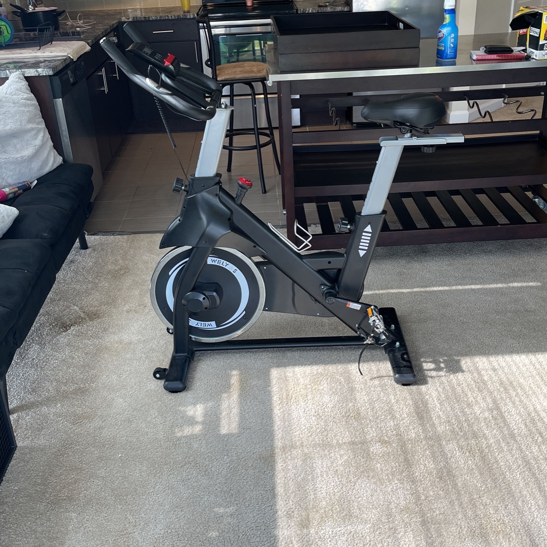 WELYAS Indoor Cycling Bike, Stationary
