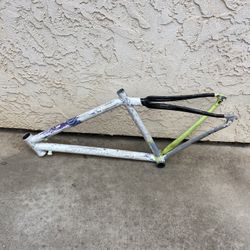 Specialized Carbon Frame 