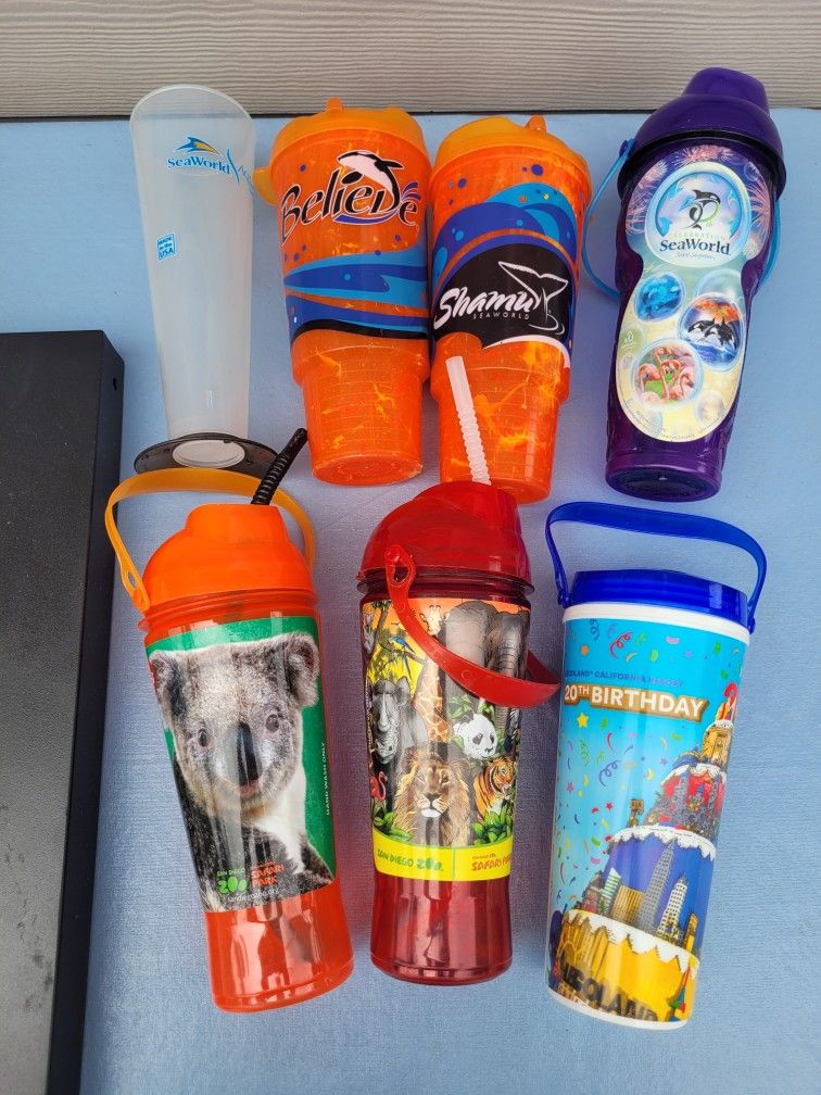 Theme Park Cups