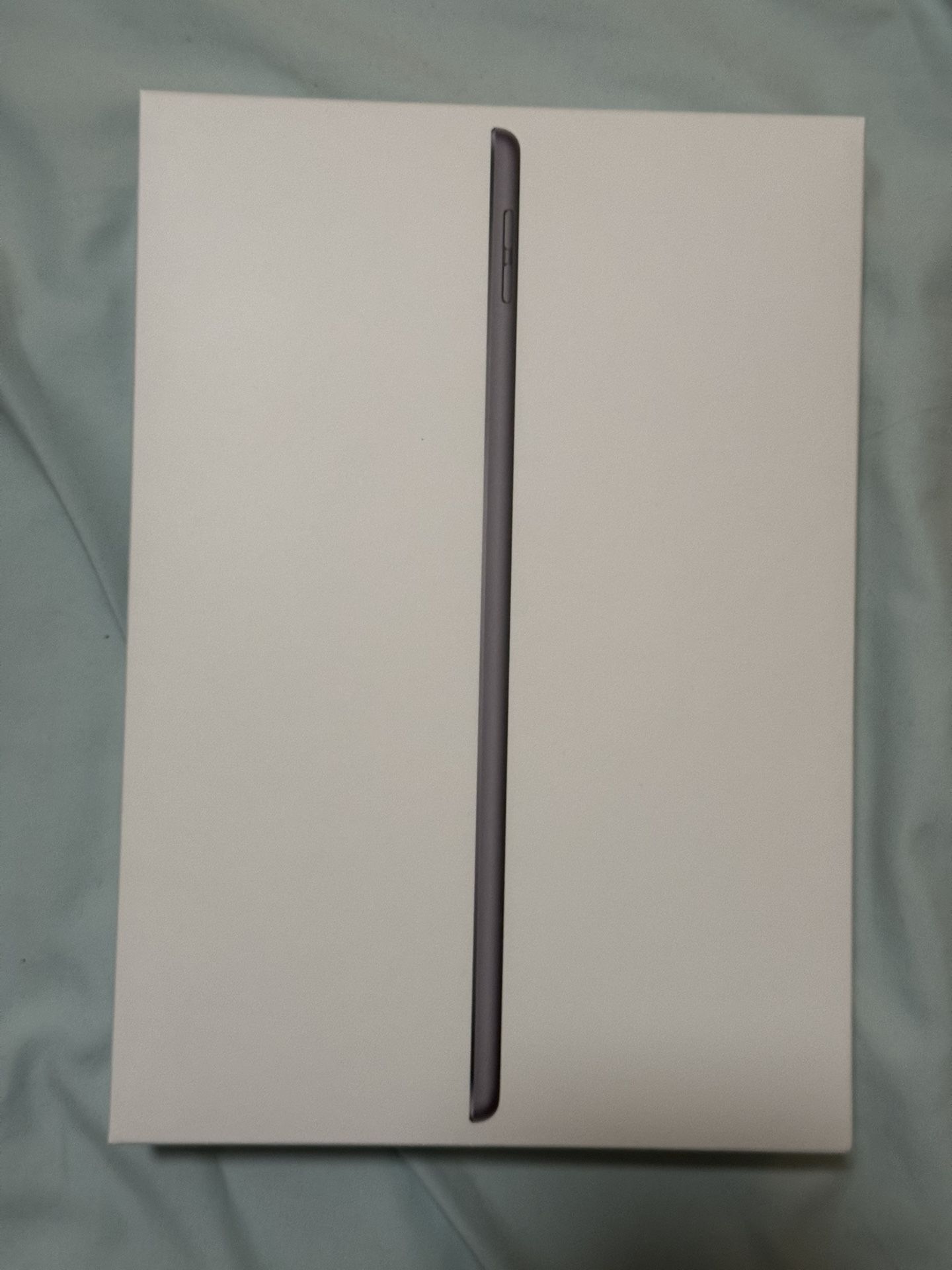 Apple iPad