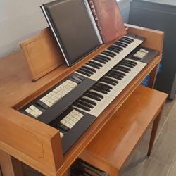 Mini Organ