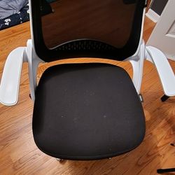 Black And White Office Chair