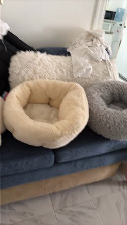 camitas para gato y perritos