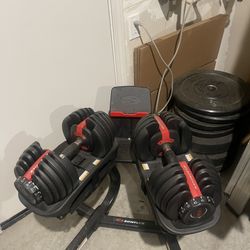 Bowflex SelectTech® 552 Dumbbells 