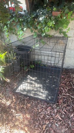 Large Dog Crate