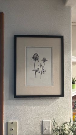 Framed Botanical Flower Sketch Art Print