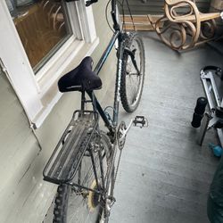 Schwinn Bike