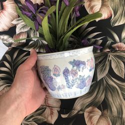 Pot With Plants
