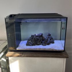 Fluva Tank Everything inside Salt water