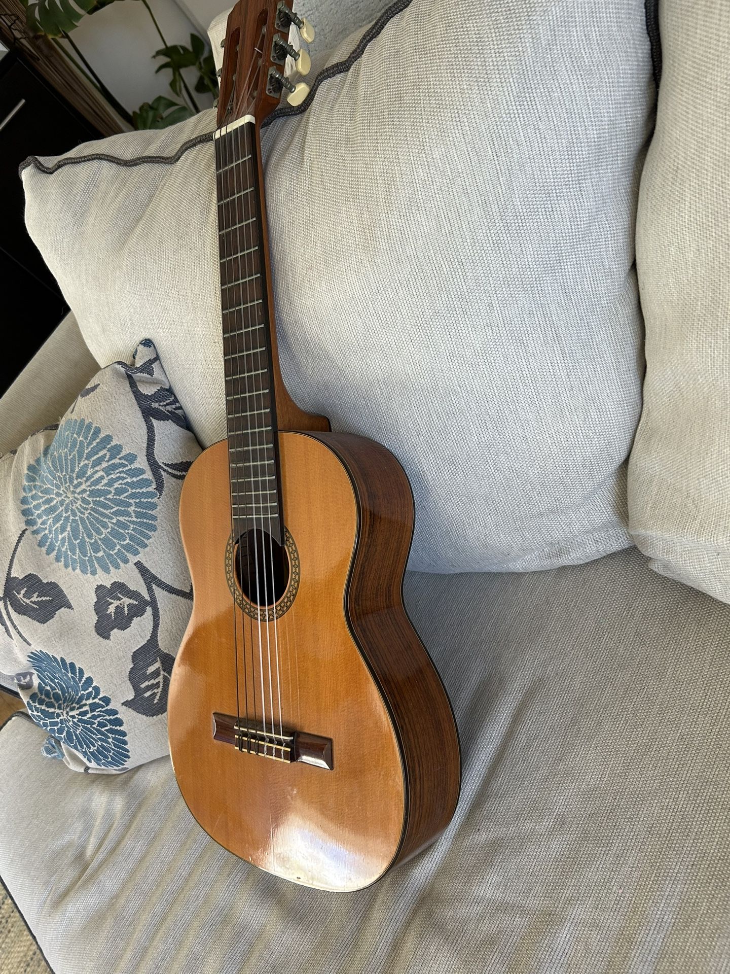 Classical Guitar Mini Pepe P 49