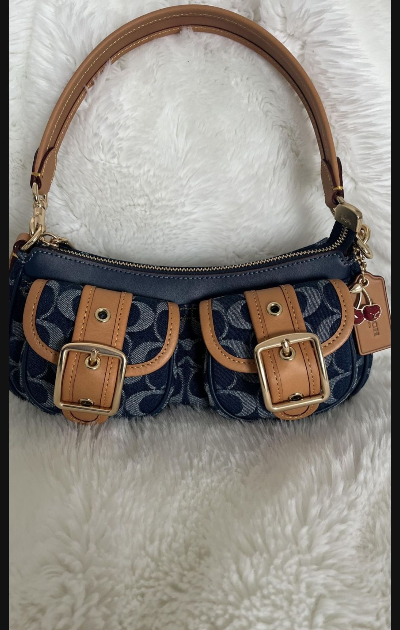 Coach Ashton Purse
