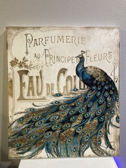 24x28 small peacock photo