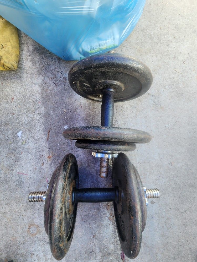 35 Pound Dumbbells