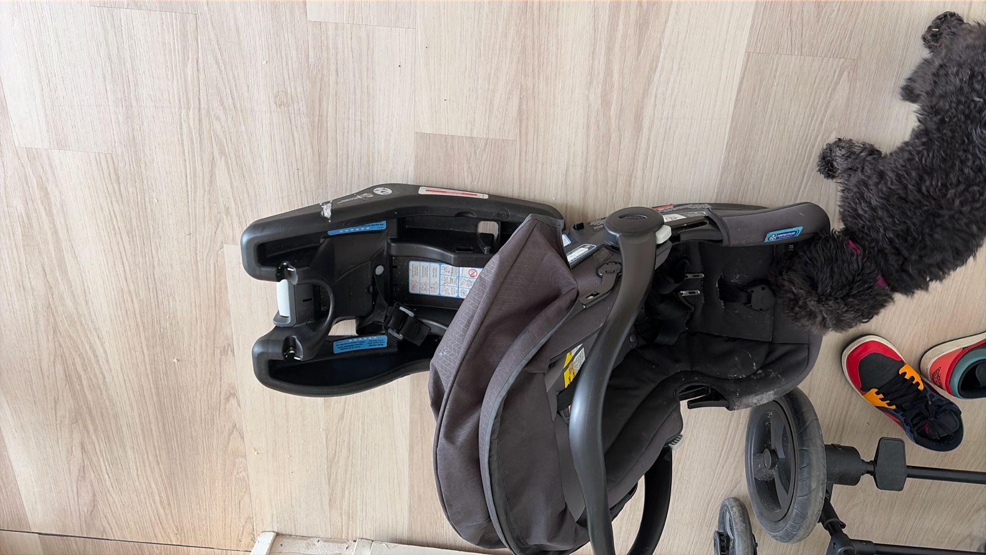 FREE Graco Infant Car seat With Adapter 