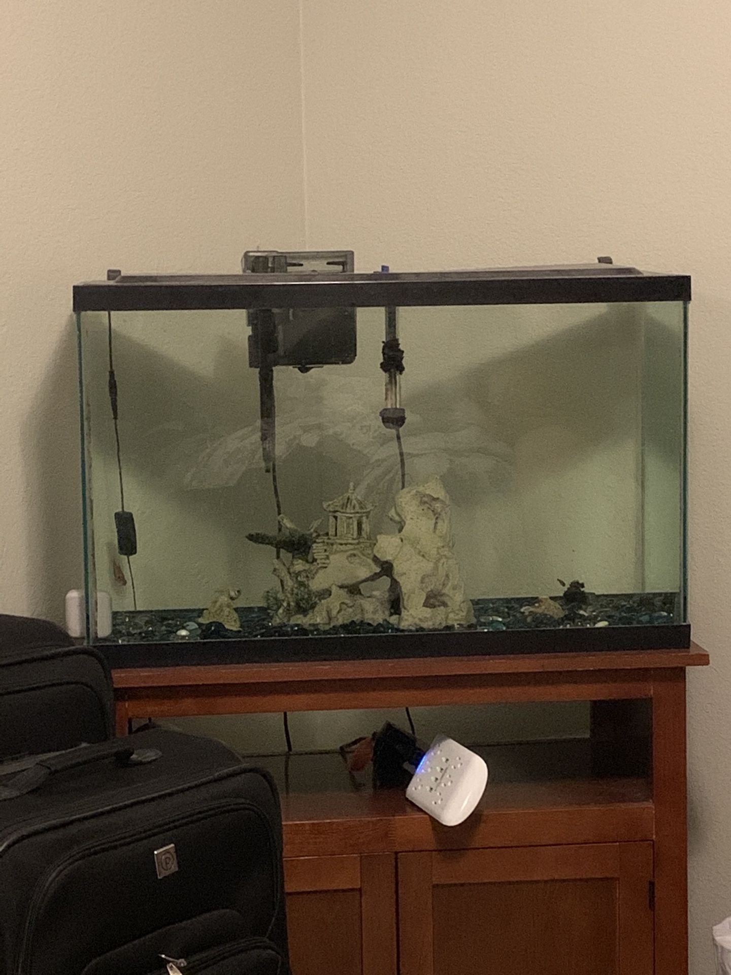 Fish tank