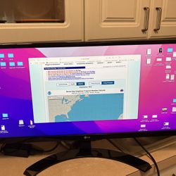 LG 29" Class 21:9 UltraWide® Full HD IPS LED Monitor (29" Diagonal) MODEL 29UM59A - P