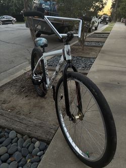Throne 29ers