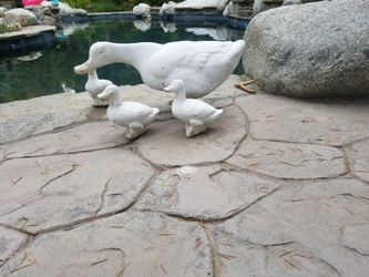 Garden decoration
