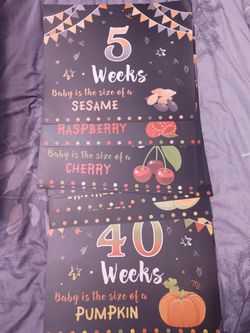 Pregnancy Signs 5-40 Weeks