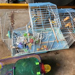 Parakeet Cage