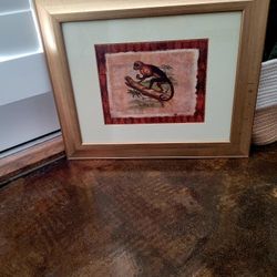 Monkey Framed Artwork