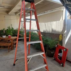 8ft. WERNER Ladder 