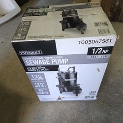 Professional Sewage Pump - Everbilt 1/2 HP Cast Iron Sewage Ejector Pump