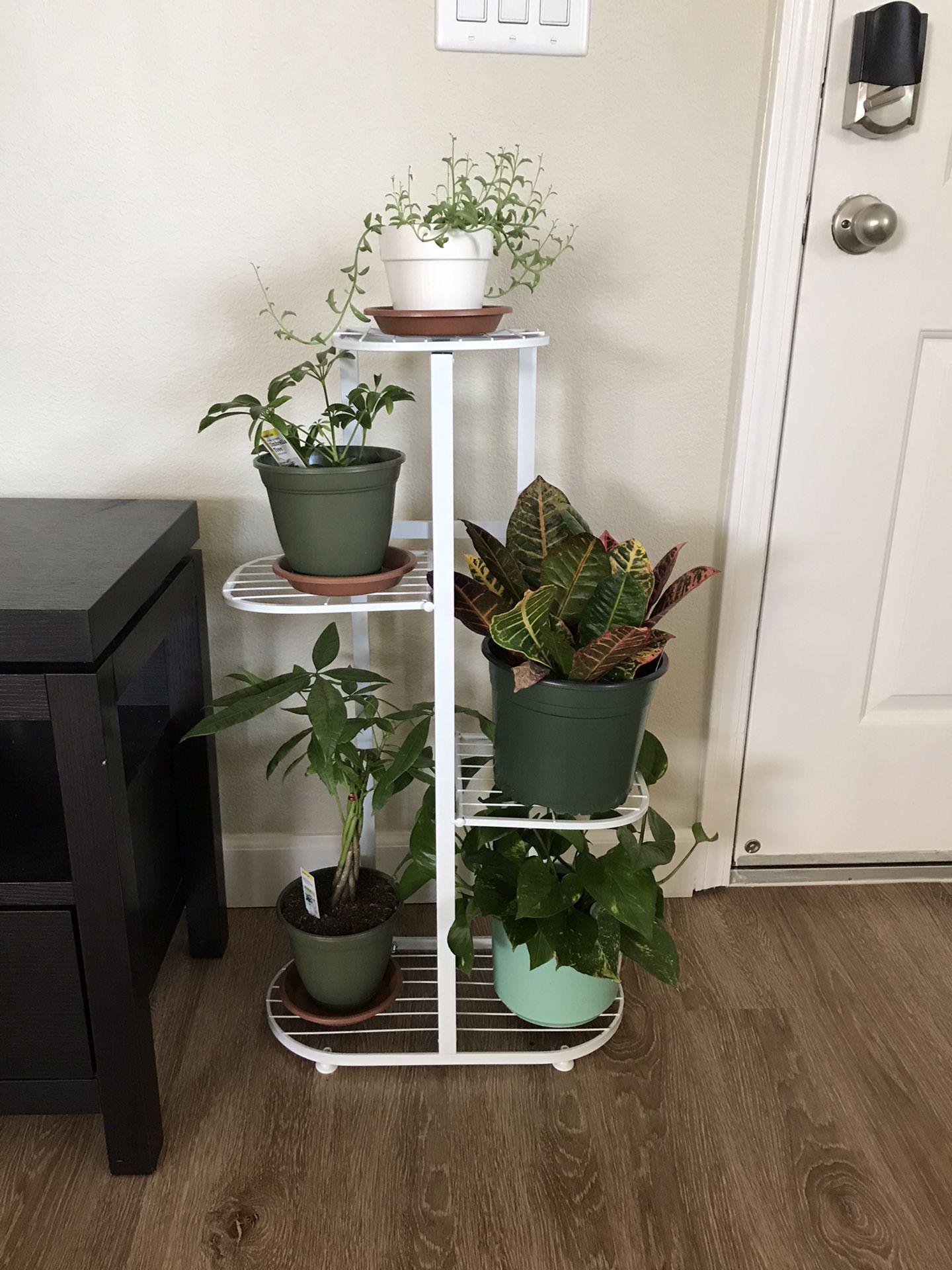 Plant stand (plants and pots not included )