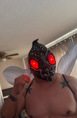 fly costume