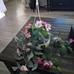 Plant decor
