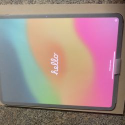 iPad Pro 13 Inch Wi-Fi Cellular 256gb 