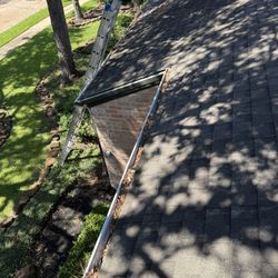 Gutter Cleaning 