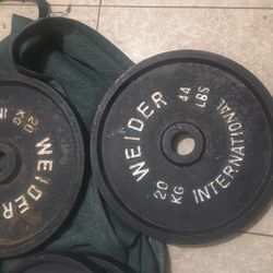 Weider 44 Pound Plates 88 Lbs Total
