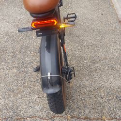 Electric Bike