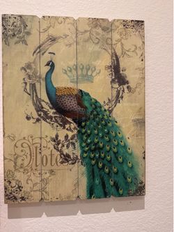 Peacock Wall art