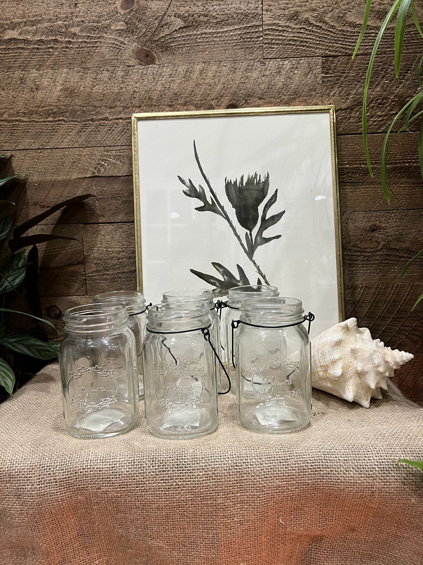 New 6 Clear Glass Fleurs Jars Handle Flowers Vase Farmhouse Wedding Party Decor Shower