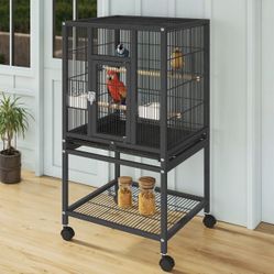 Bird Cage