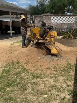 Stump Grinding