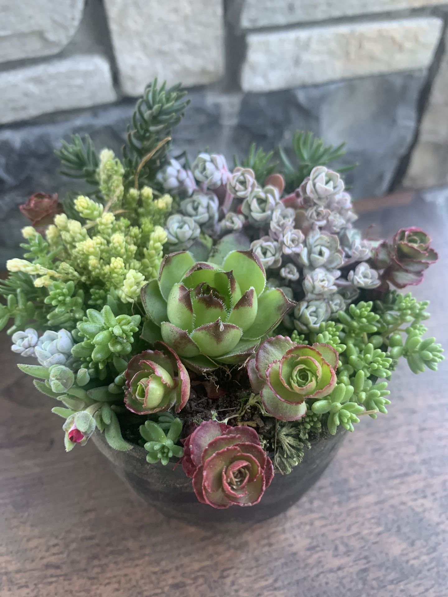Succulent arrangement in black plastic