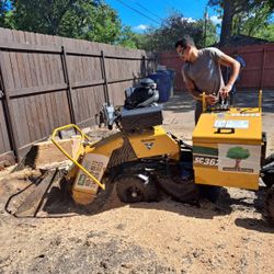 STUMP GRINDING