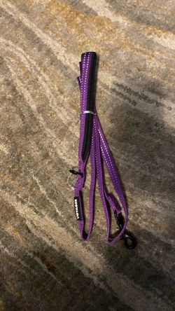 Purple dog leash