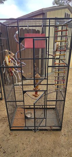 bird cage