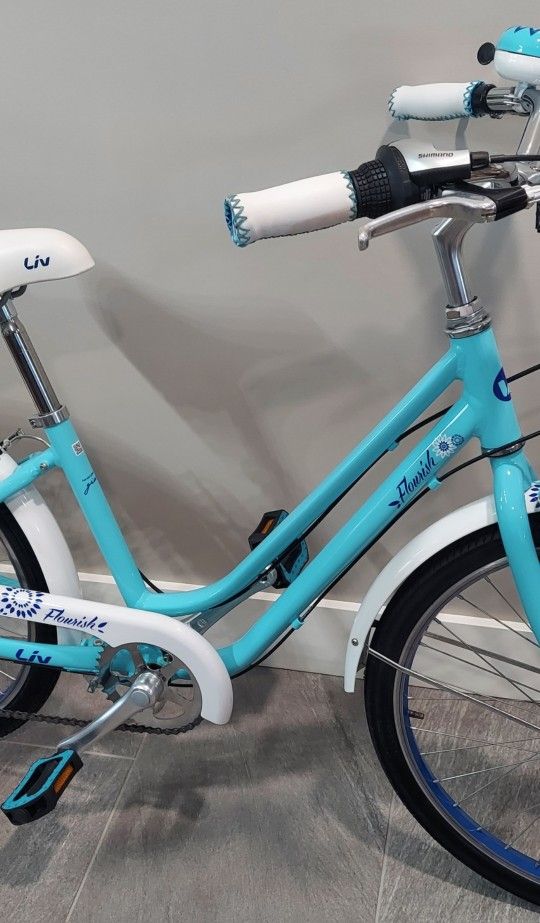 Giant Liv Flourish Girl’s bike Very Much Like NEW , 24" tires , 7 speeds , super Nice Conditions , YES IT IS AVAILABLE