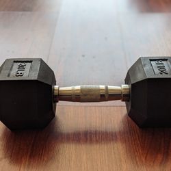 20 Lb Dumbbells