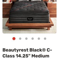 Queen SIMMONS BLACK LABEL C CLASS PT